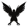 Eagle Silhouette