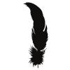  Feather Silhouette