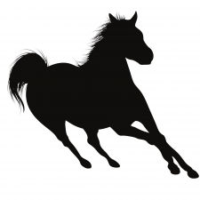  Horse Running Silhouette